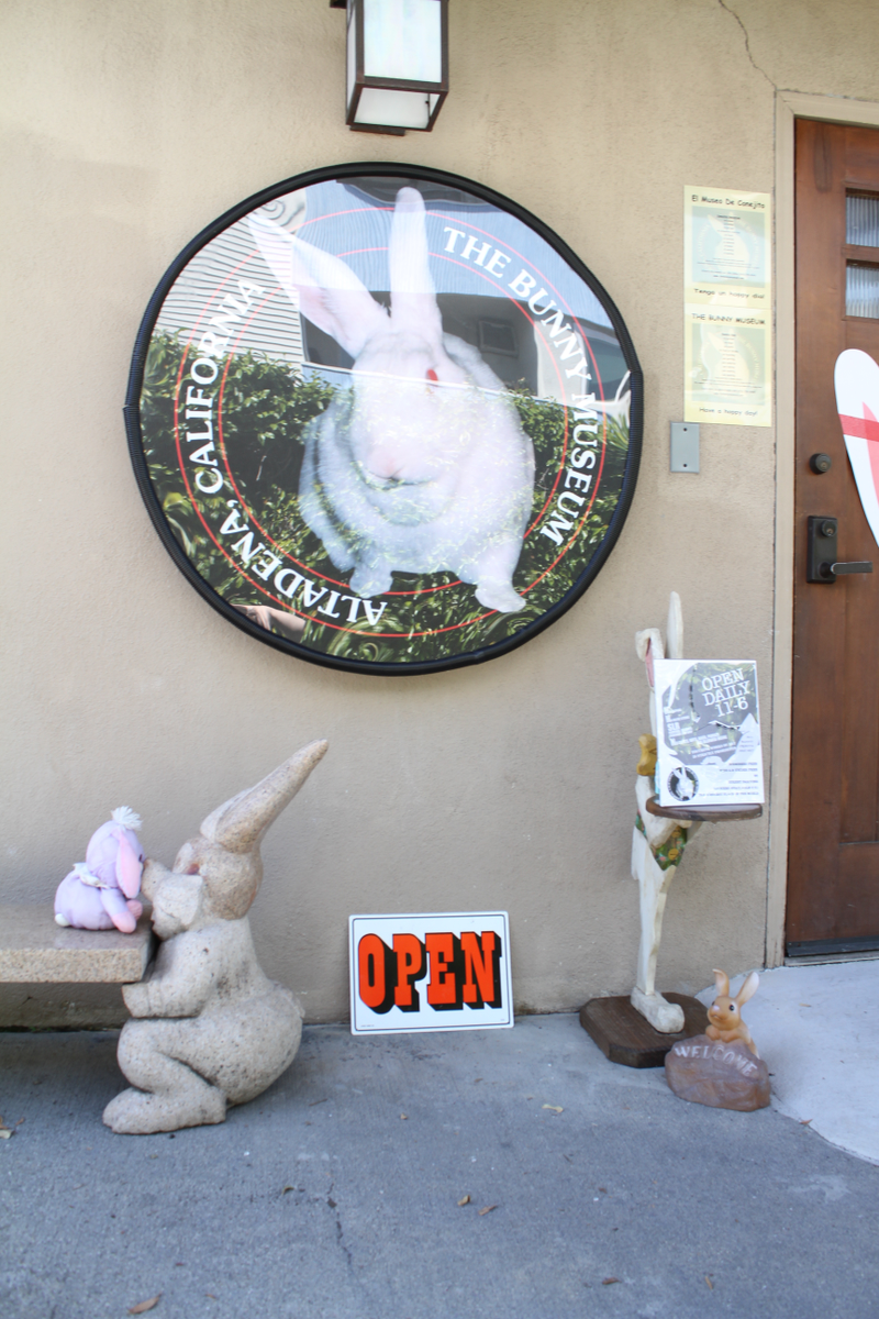 Illustration for article titled Happy Easter! Stef And Puff's Trip To The Bunny Museum